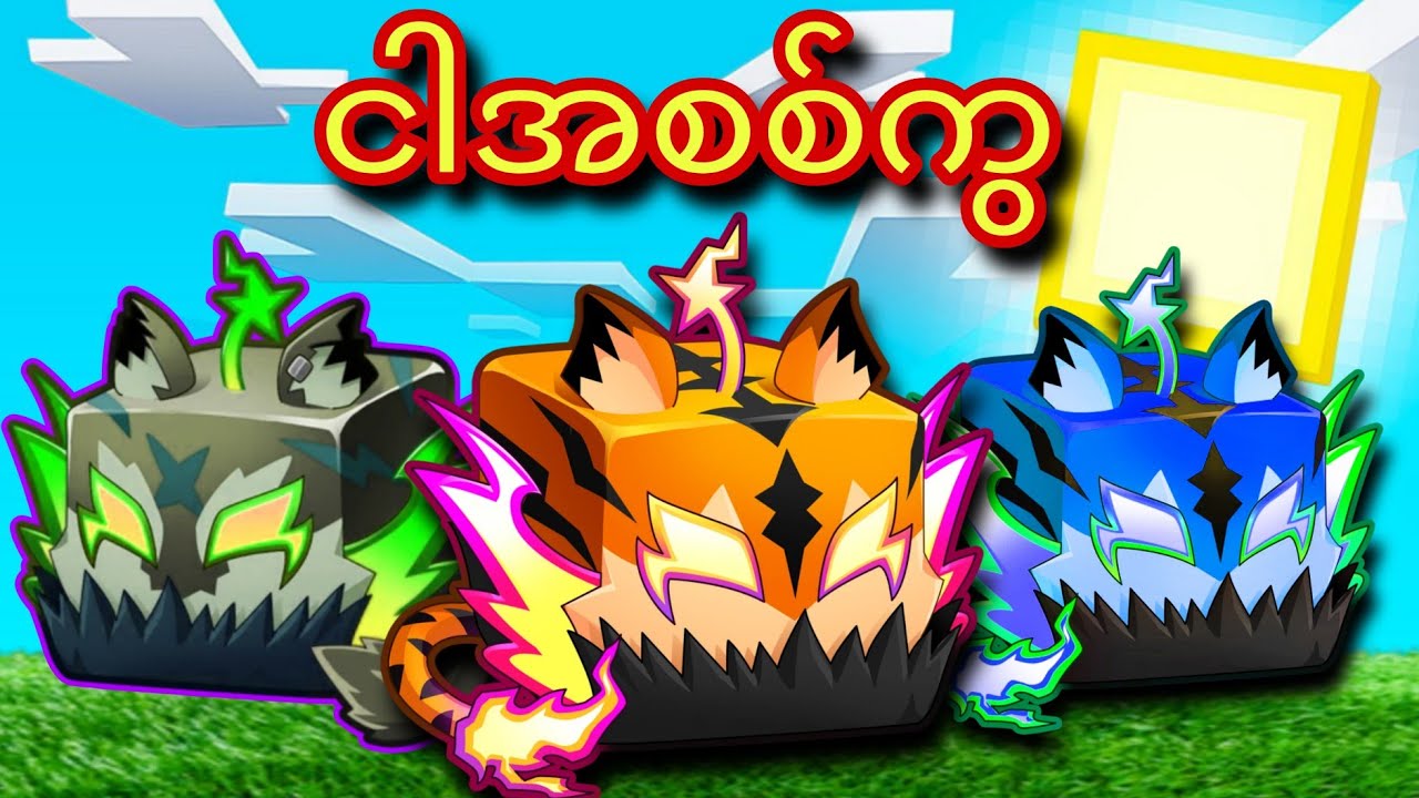 ကျွန်တော် Tiger fruitကို ပုံစံမျိုးစုံနဲ့ Bloxfruitထဲမှာစမ်းသပ်ခဲ့တယ်‼️