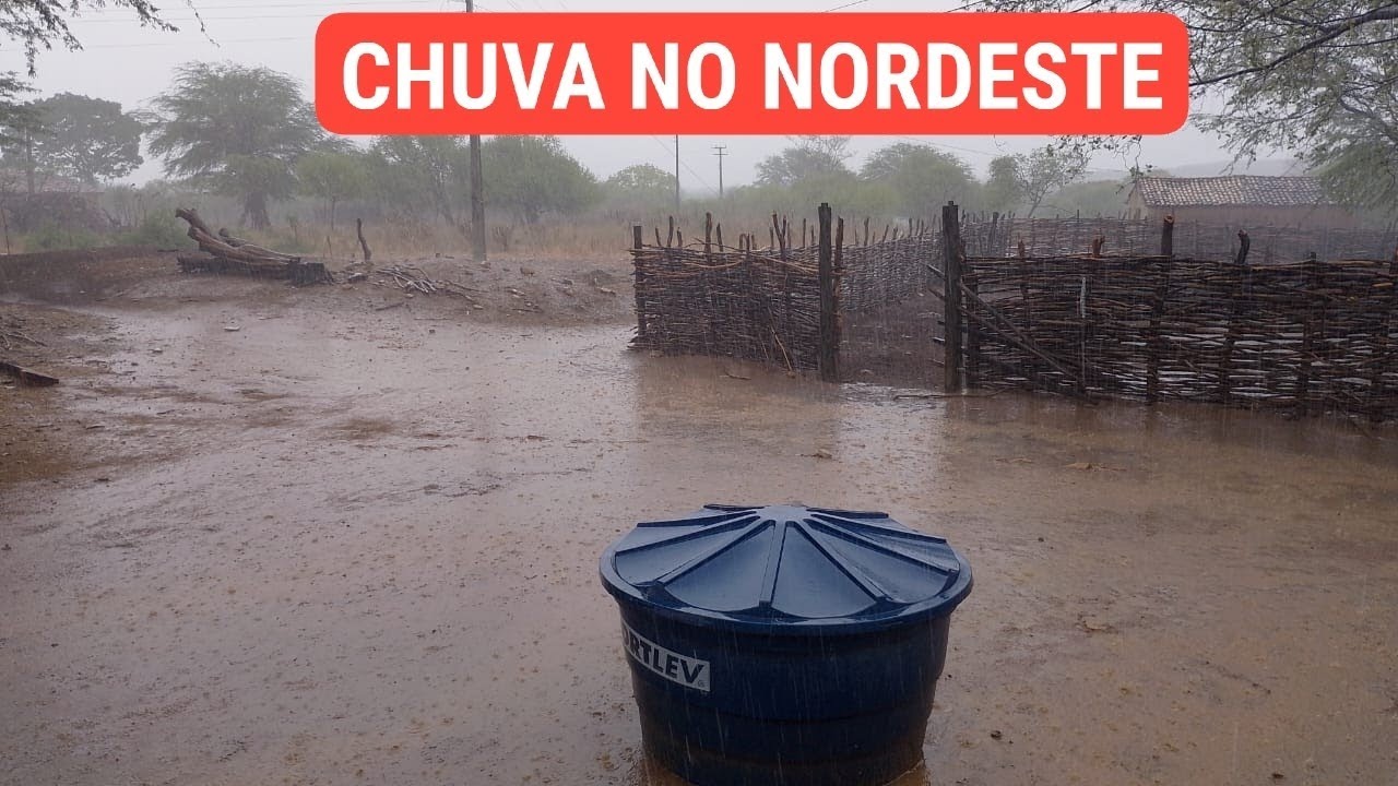 🌧️🌵CHUVA EM MAIS CIDADES DO NORDESTE 