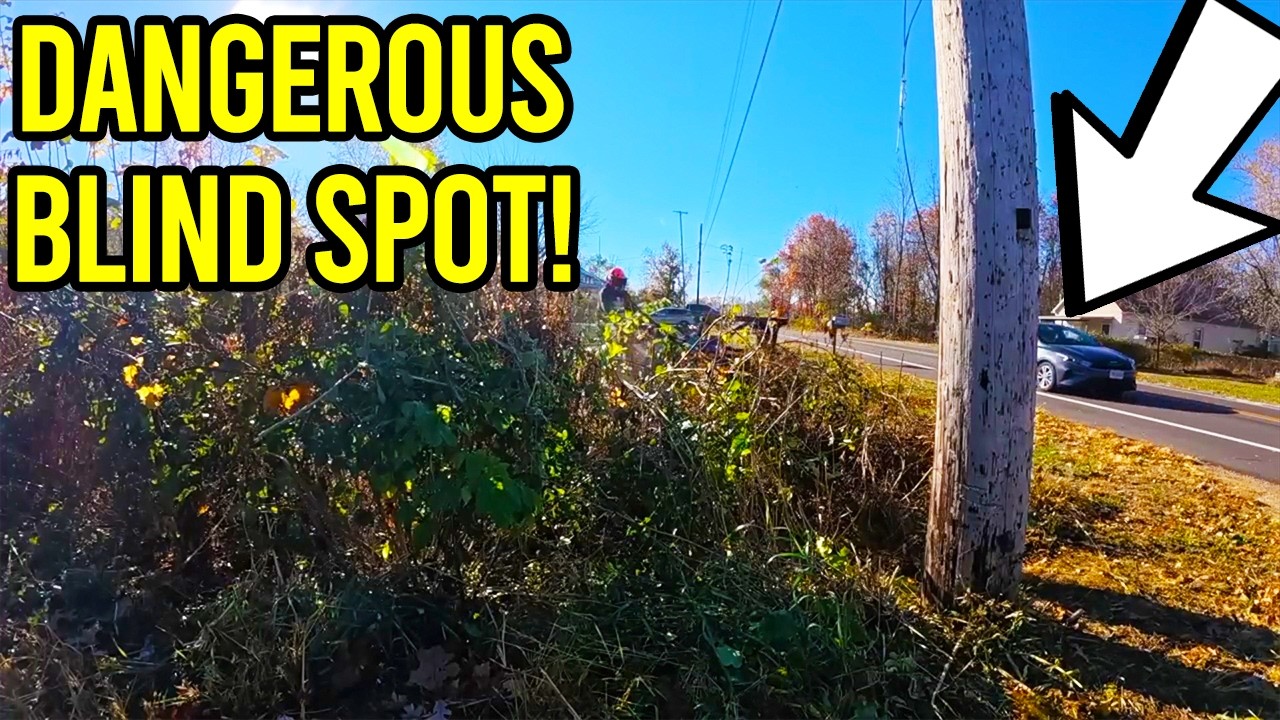 Elderly Couple Almost KILLED!