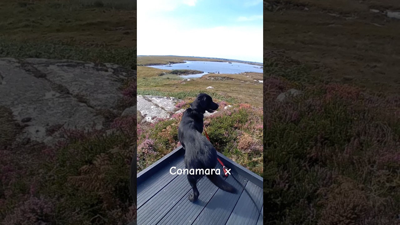 Conamara 