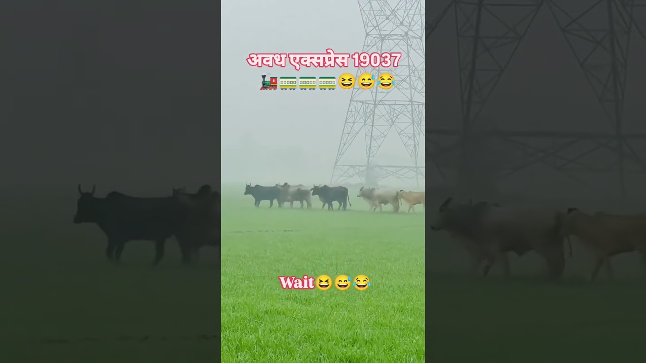 #अवध