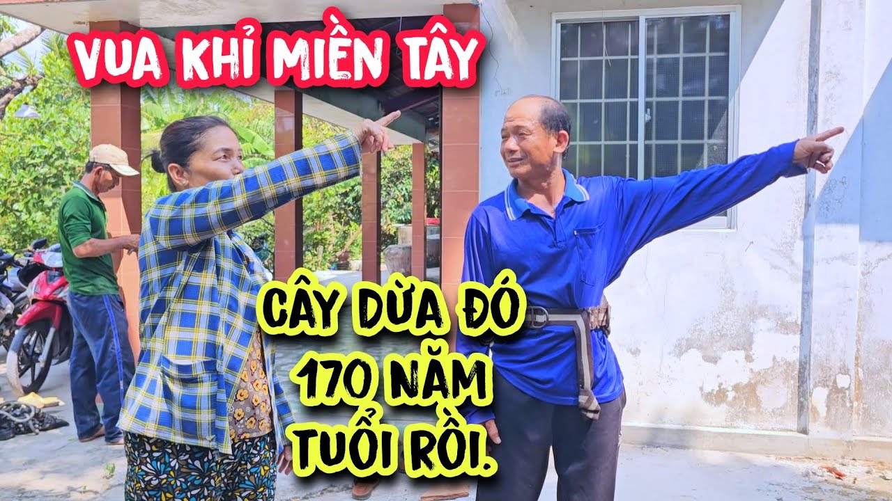 Vua Khỉ cưa cây Dừa có tuổi đời gần 200 tuổi tại Tân Trụ, Long An (1/2)...