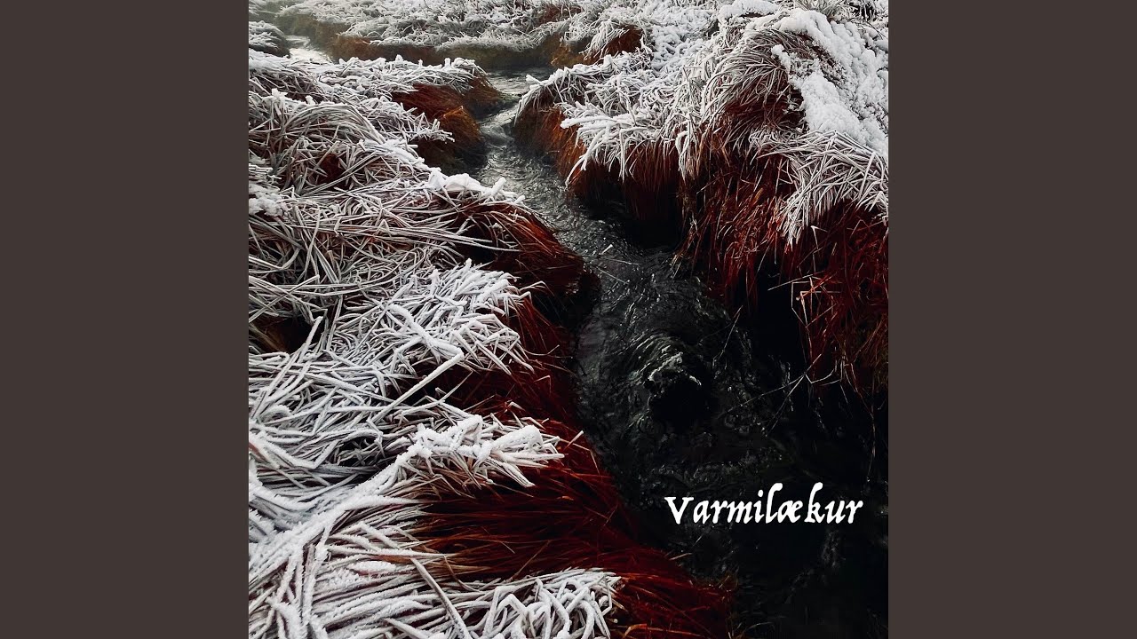 Það þarf fólk eins og þig