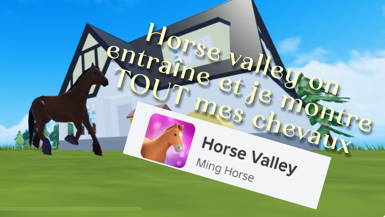 Horse valley entraînement et je vous montre tout mes chevaux