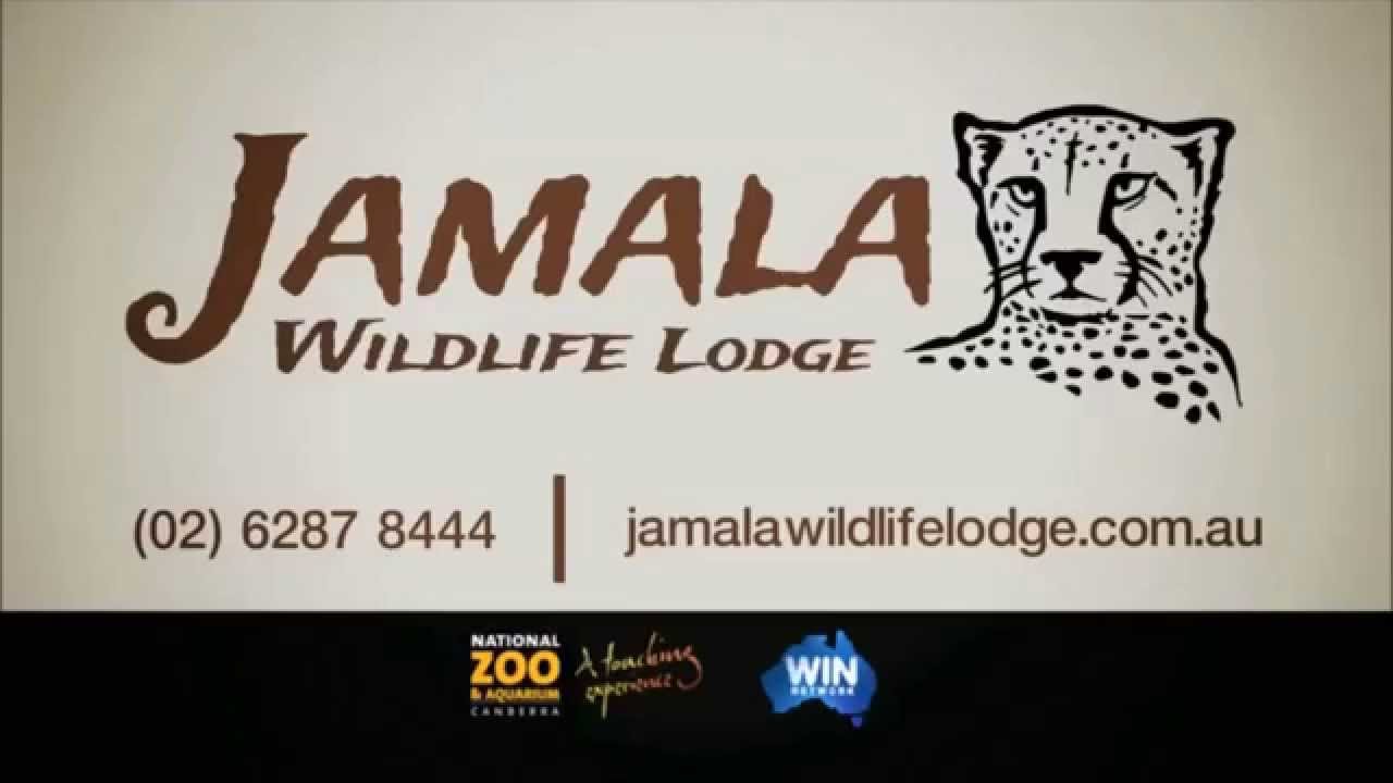 Magshop 2015 Father's Day Promotion - African Style Safari for Two