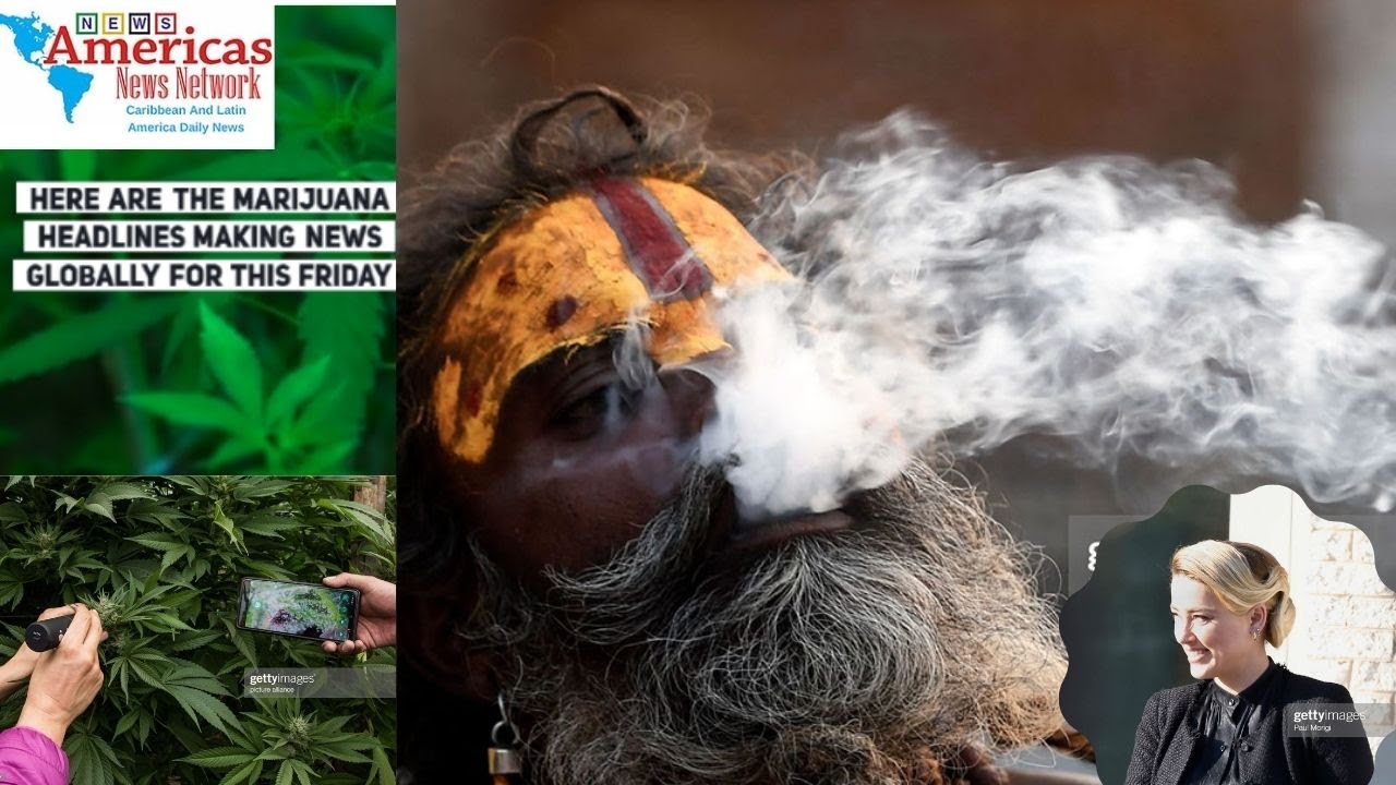 Cannabis News Today