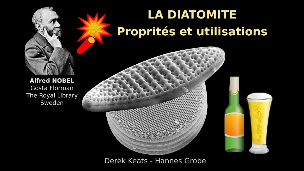 Des diatomées à la diatomite et à la terre de diatomée, diversité des utilisations