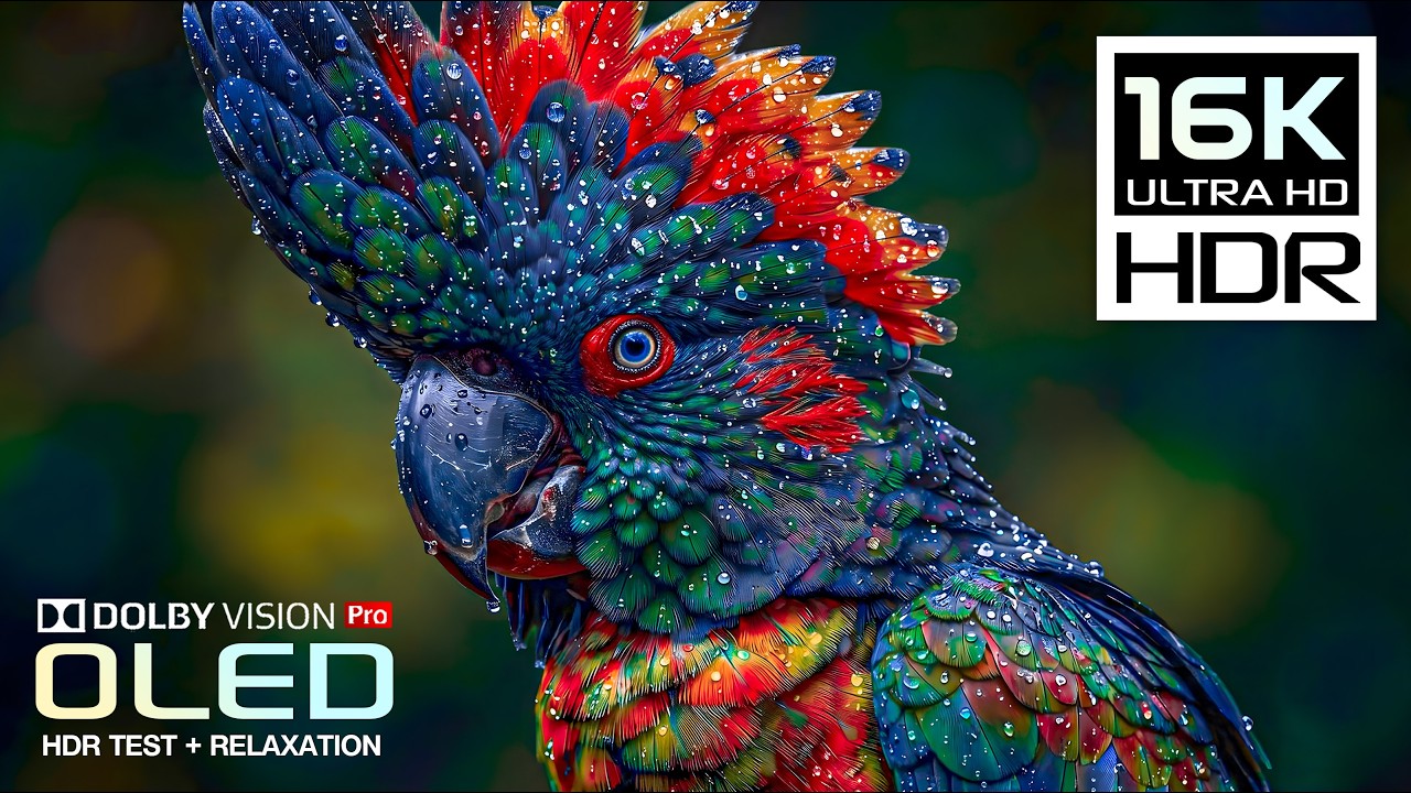Никогда ранее не виденное OLED HDR | 16K Природа Животные 120FPS (8K/4K Видео ULTRA HD TV)