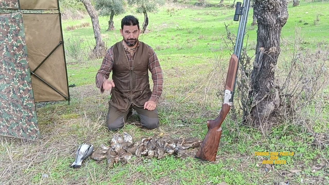 CAÇA AOS TORDOS... 17 novembro 2024