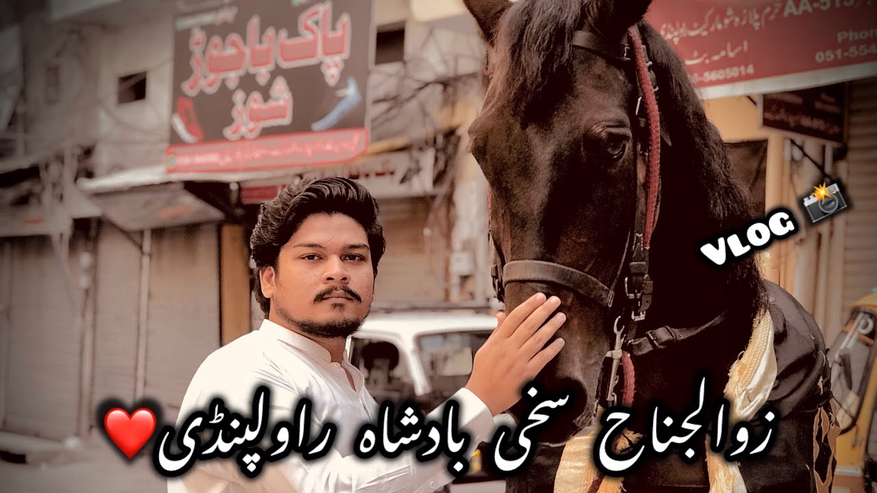 Zuljanah sakhi badshah rawalpindi |Fun with raza| Vlog #zuljanahsakhibadshah #vlog #nadeemsarwar
