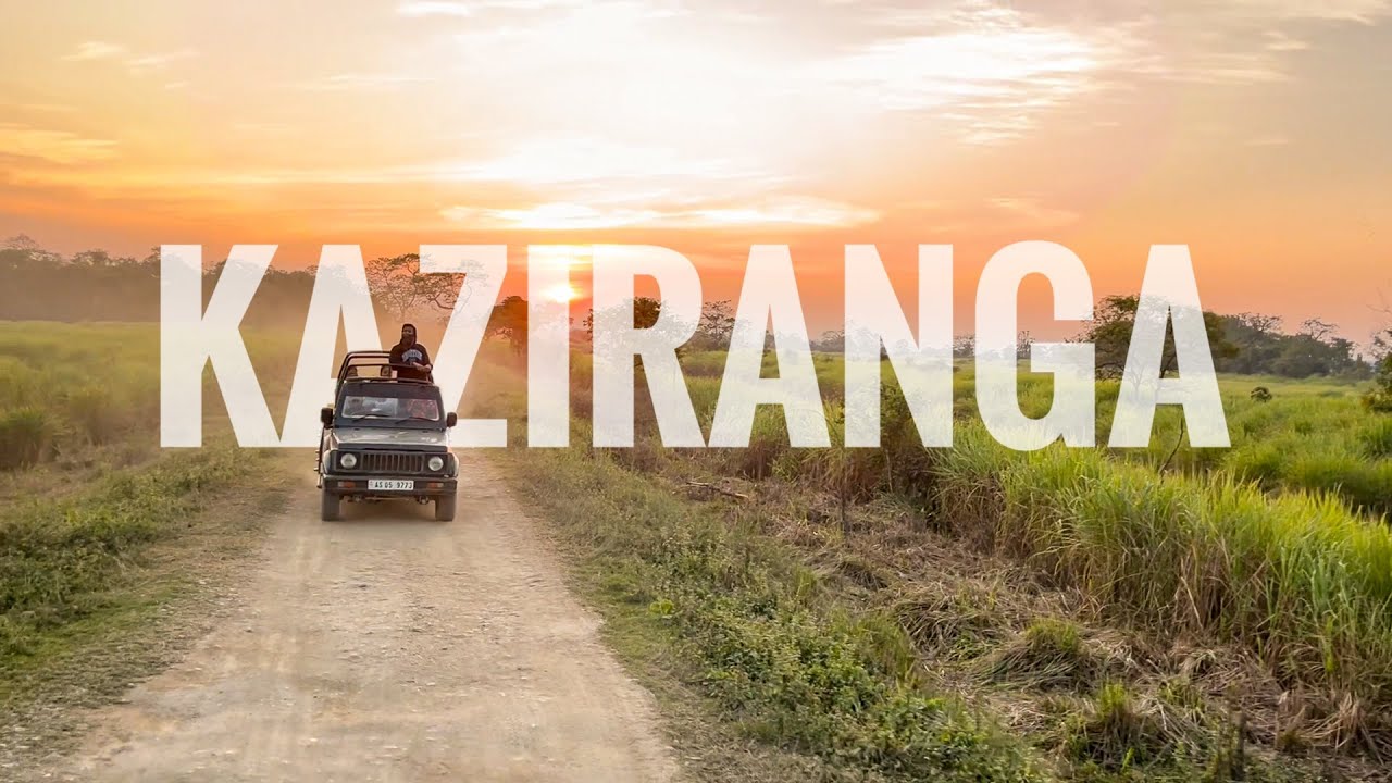Kaziranga National Park Travel Guide | Best Places to Visit Nearby