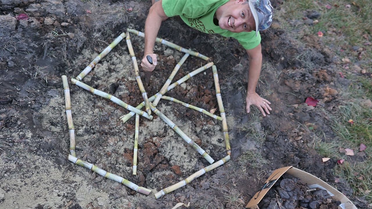 Growing Our Own Sugar