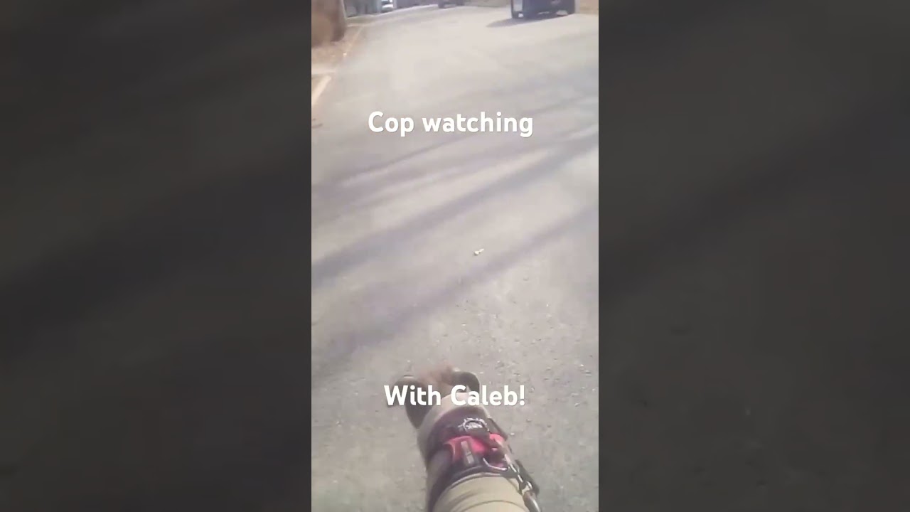 cop watching with Caleb @publicsafetypress #animals #irl #police #policelife #pop #vehicles