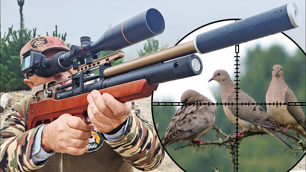 &iexcl;Cay&oacute; un Conejo GIGANTE! 😱 Cacer&iacute;a de T&oacute;rtolas con Rifle PCP V8