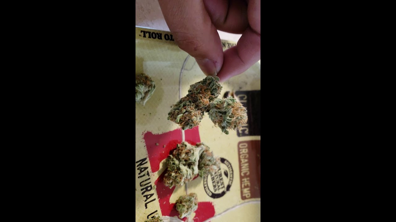 Medical MARIJUANA PINEAPPLE OG