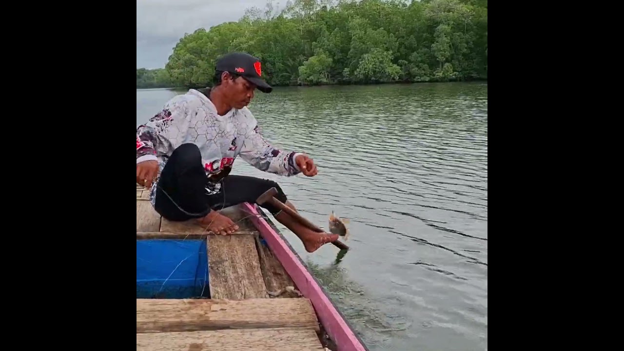 ikan jenahak tompel