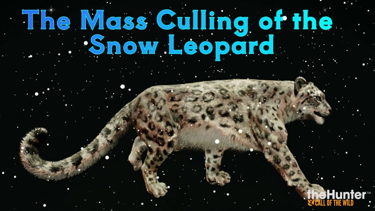 The Mass Culling of the Snow Leopard
