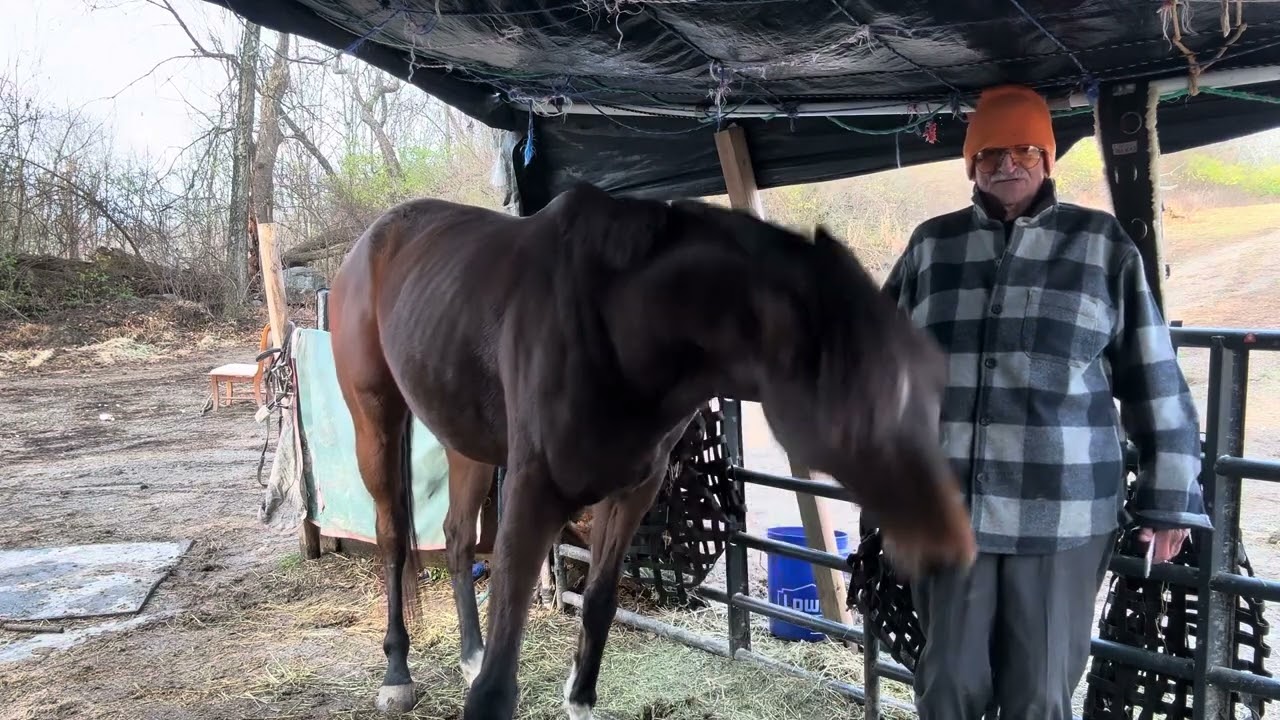 1939 free Montgomery Ward booklet became 1949 song by Gene Autry READ BELOW HISTORy. BabyToo & Mick