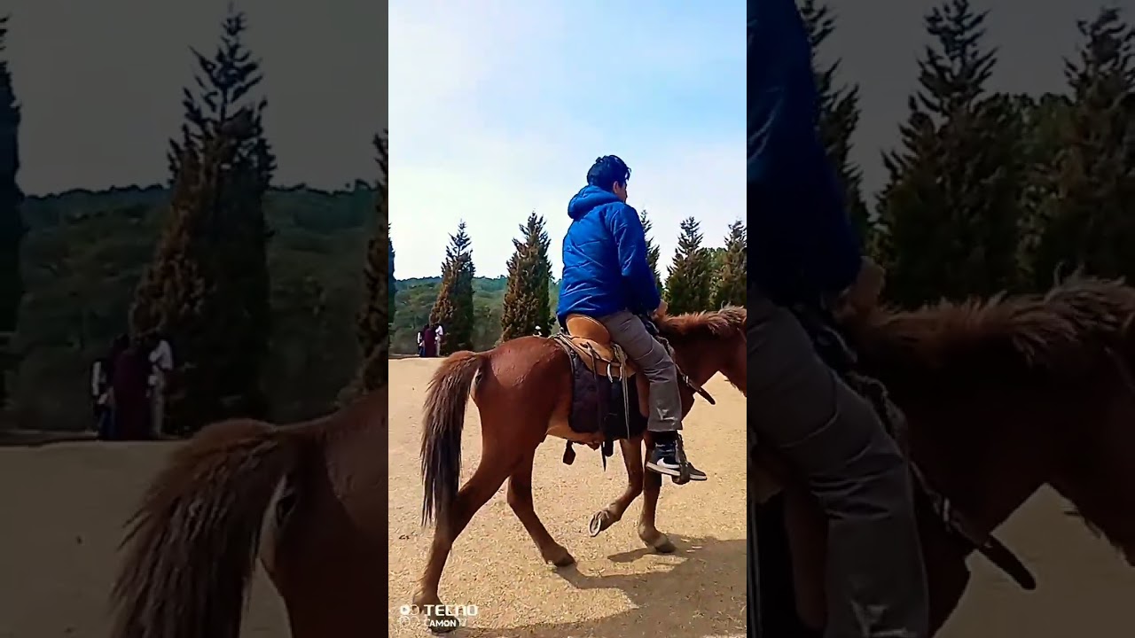 Hi friends dekho amar chele horse raiding korche kemon laglo janio comment kore  