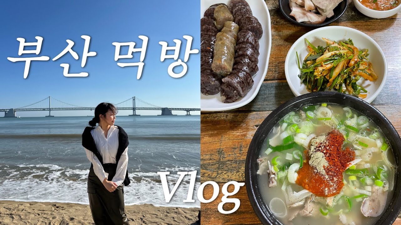 [여행vlog] 부산 먹고 마시러 다녀오다🌉🍷먹방브이로그(광안리 막창집/톤쇼우/돈까스/자매국밥/마이페이보릿/곱창전골/전포동 롱드라이버스/하이바/광안대교/이가네 떡볶이/거인통닭)