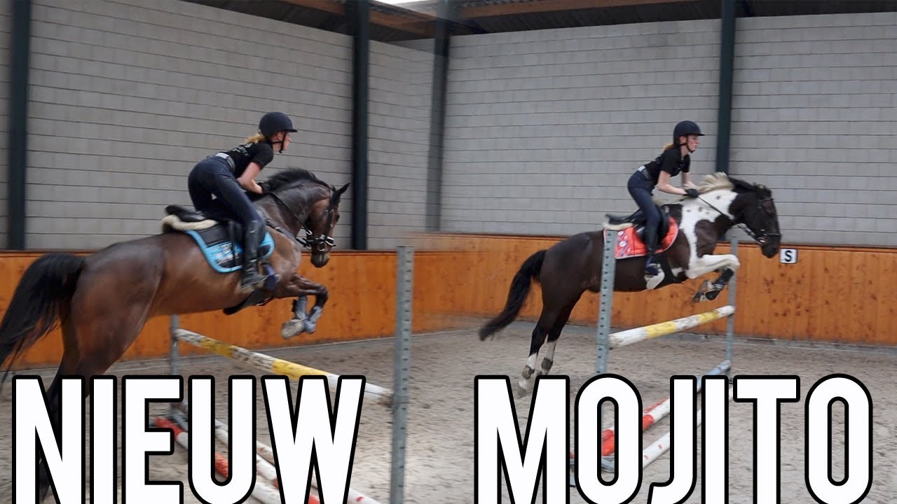 SPRINGTRAINING MET NIEUW PAARD EN MOJITO | PAARDRIJDEN MET PLEZIER