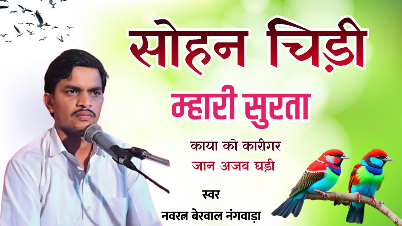 सोहन चिडी म्हारी सुरता। स्वर-नवरत्न बेरवाल के भजन #नवरत्नबेरवाल sohan chidi mhari surta I
