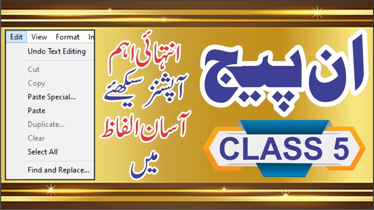 paste special in inpage  , duplicate option , finde and replace , inpage course class 5