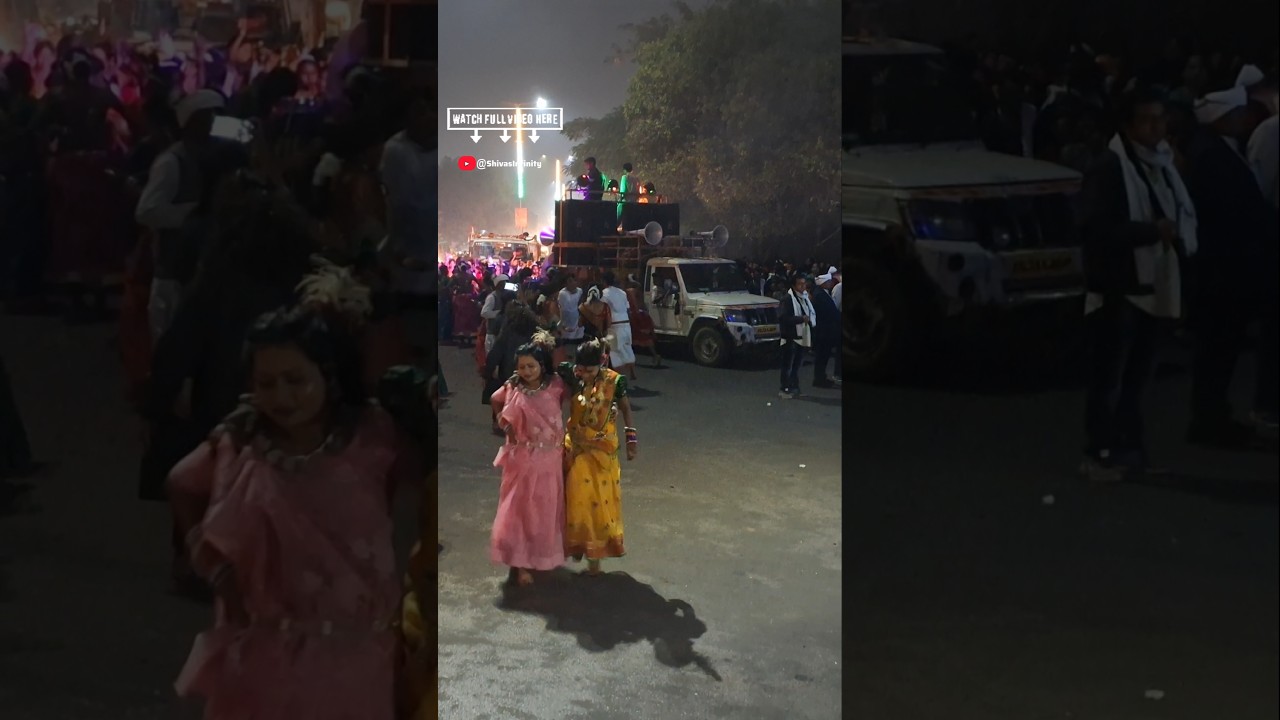 Adivasi Festival Chhattisgarh | Adivasi Jangal Rakhwala Viral Dance 