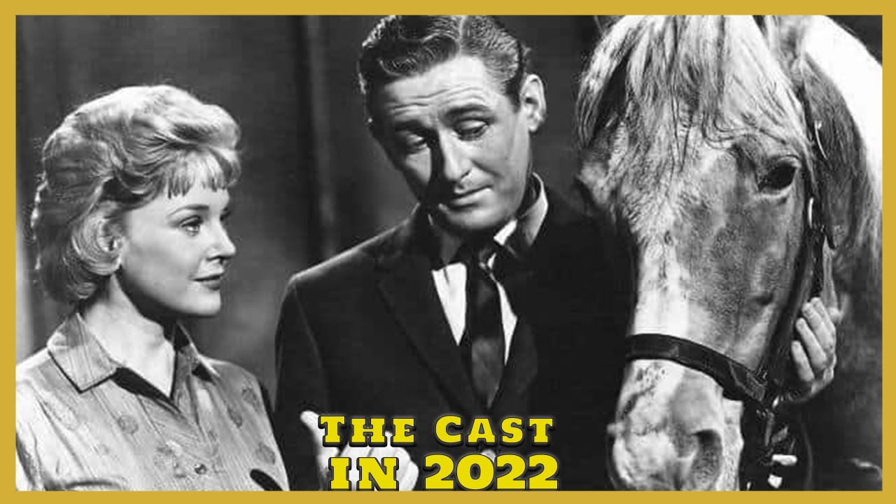 Mister Ed 1961-1966 Do you remember? Cast Then and Now - How they changed 2022