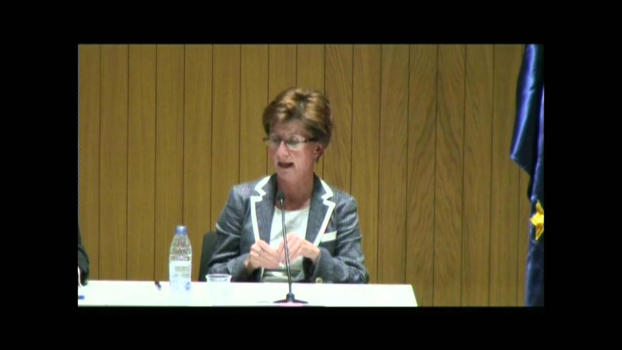 La Presidència hongaresa de la UE i el Tractat de Lisboa