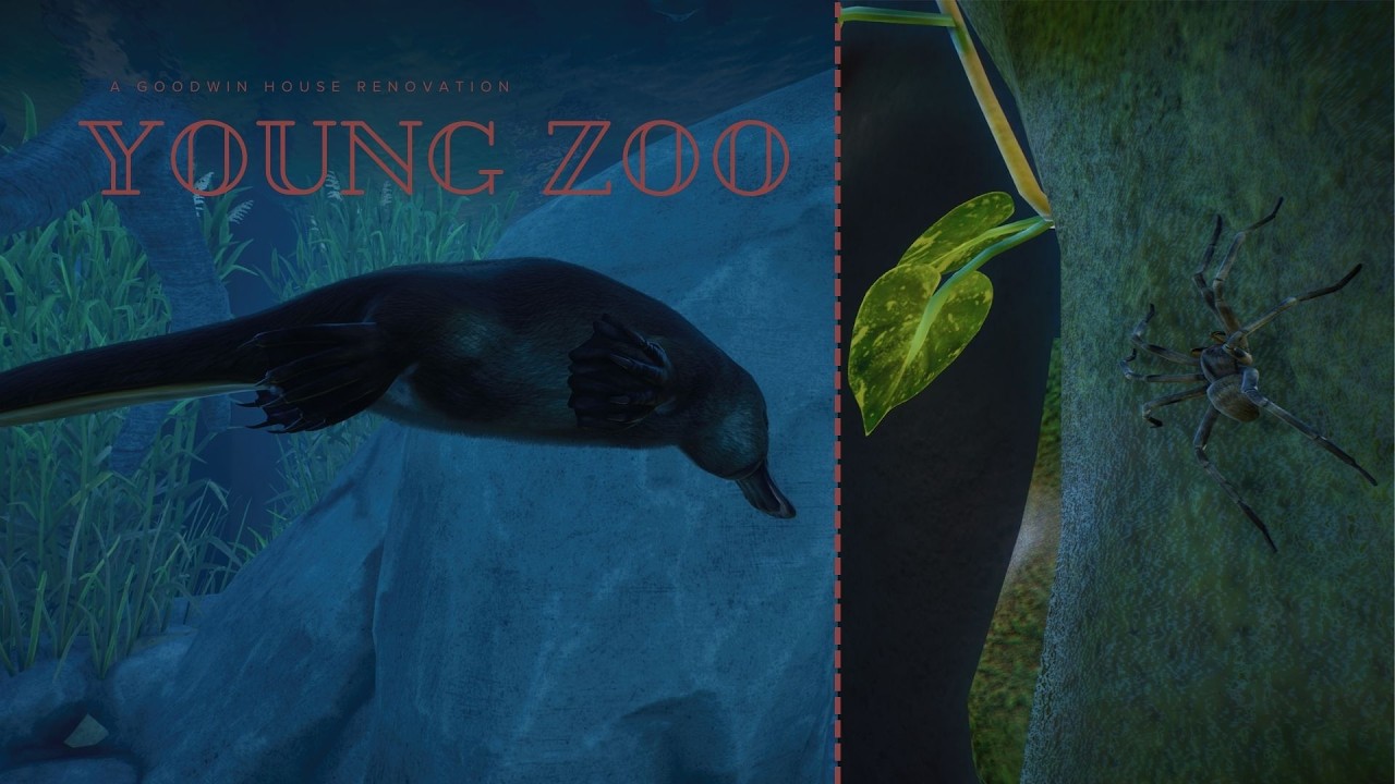 Semi-Aquatic & Sneaky | Under-Water Viewing, Trash & Personalized Exhibits
