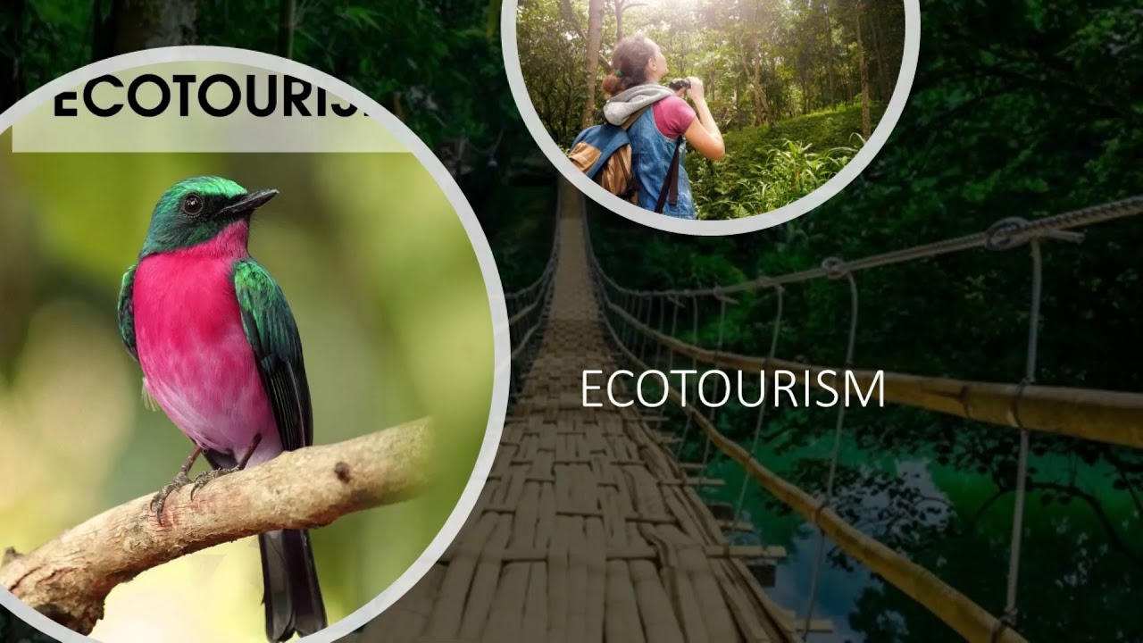 Ecotourism Activities   ESL   Listening