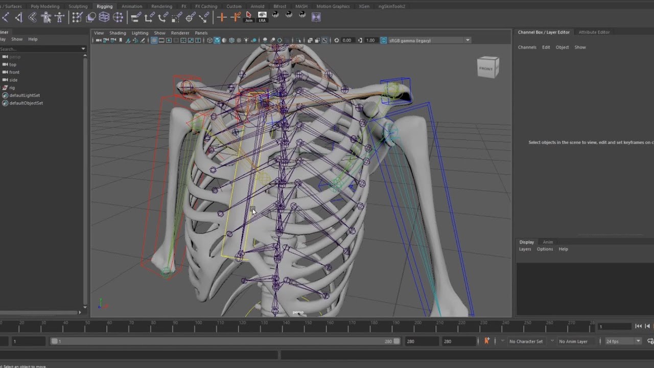Automatic scapula sliding rig explained