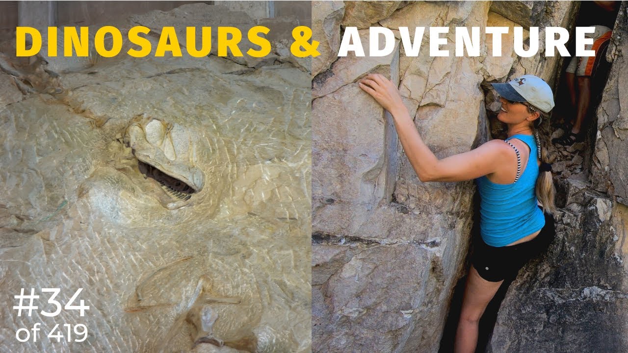 More than just Dinosaurs at Dinosaur National Monument - Rafting the Green River (34 of 419)