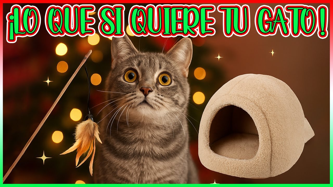 Regalos NAVIDEÑOS Para GATOS Que SÍ Valen La Pena (Y Los Que NO) 🎁🐱