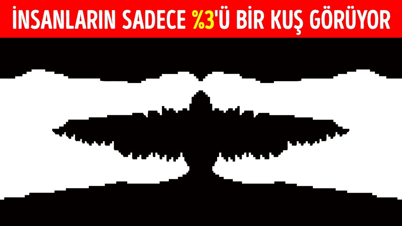 Bu Görsel Yanılsama Kişilik Testi, Ne Kadar Olağanüstü Biri Olduğunuzu Gösteriyor