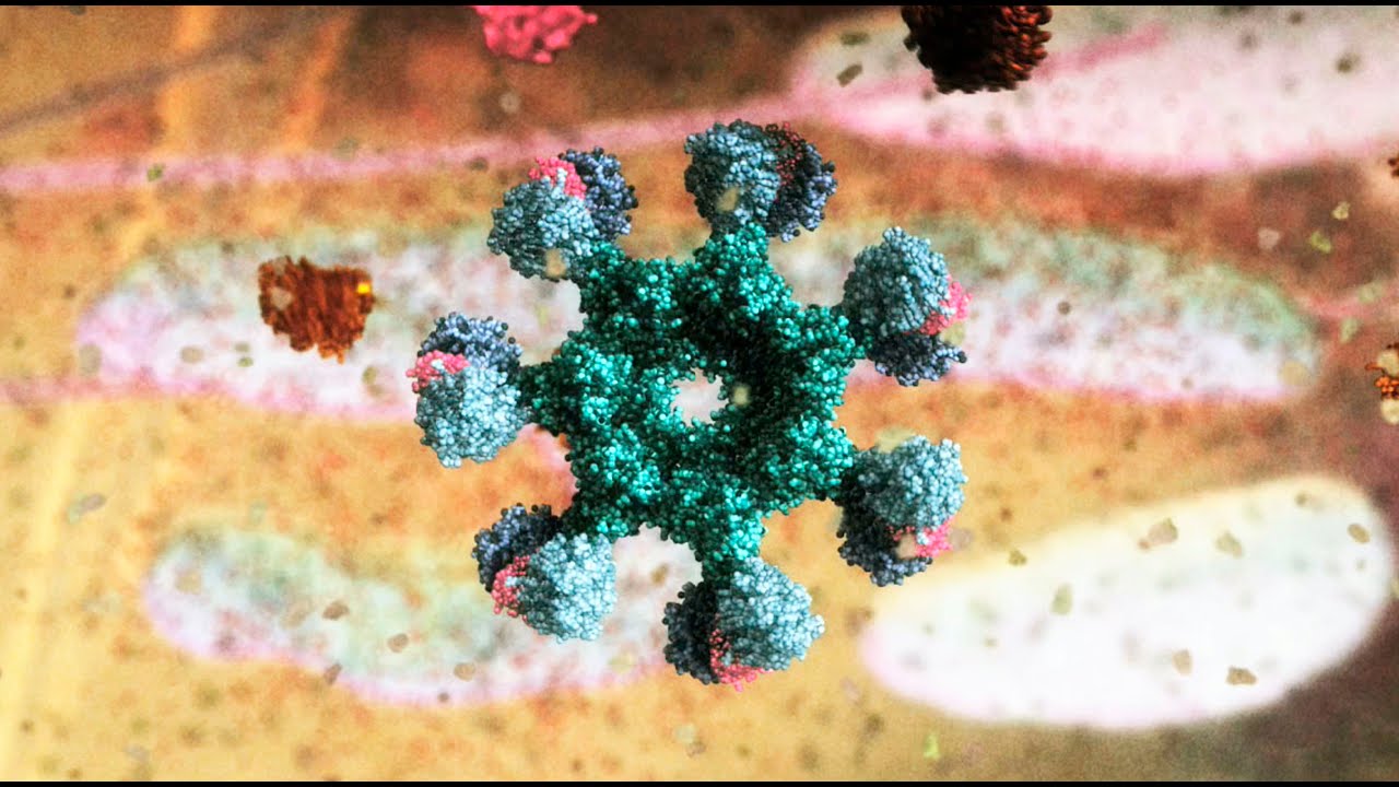 Apoptosis *WATERMARK* (2006)  by Drew Berry wehi.tv, sound design Franc Tétaz