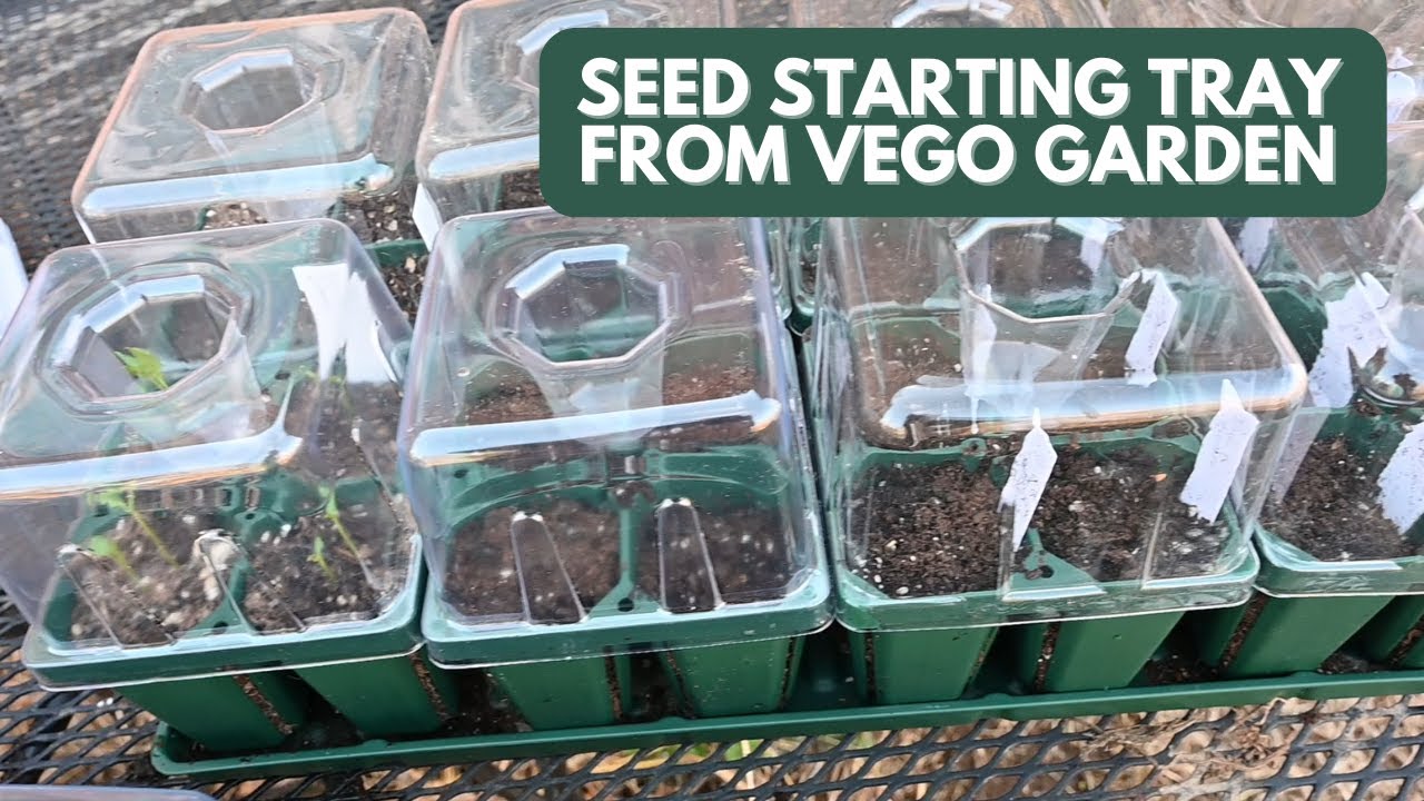 Sowing Seeds in the Seed Starting Trays from Vego Garden