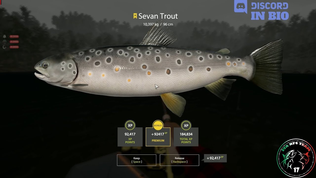 Kuori Lake spot, Trophy Sevan Trout and x2 Lake trout - #52 - Russian Fishing 4 / RF4