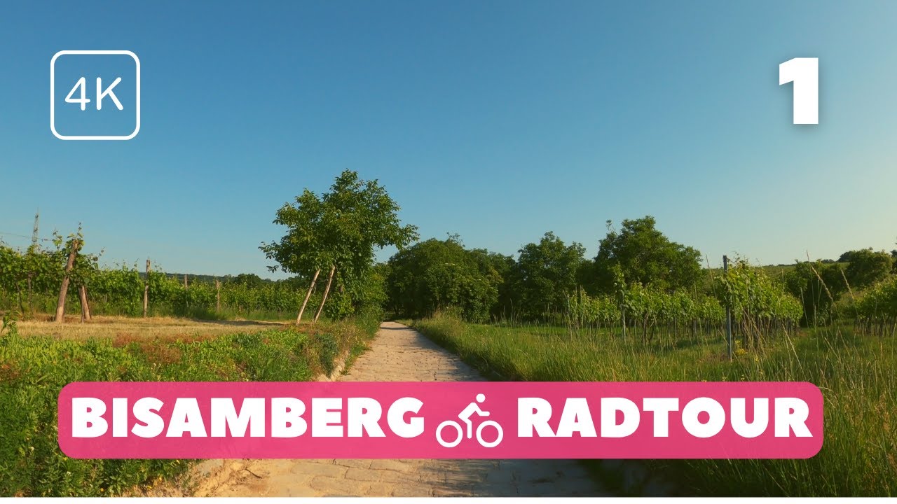 Swift uphill ride on a beautiful morning | Vienna E-Bike Ride