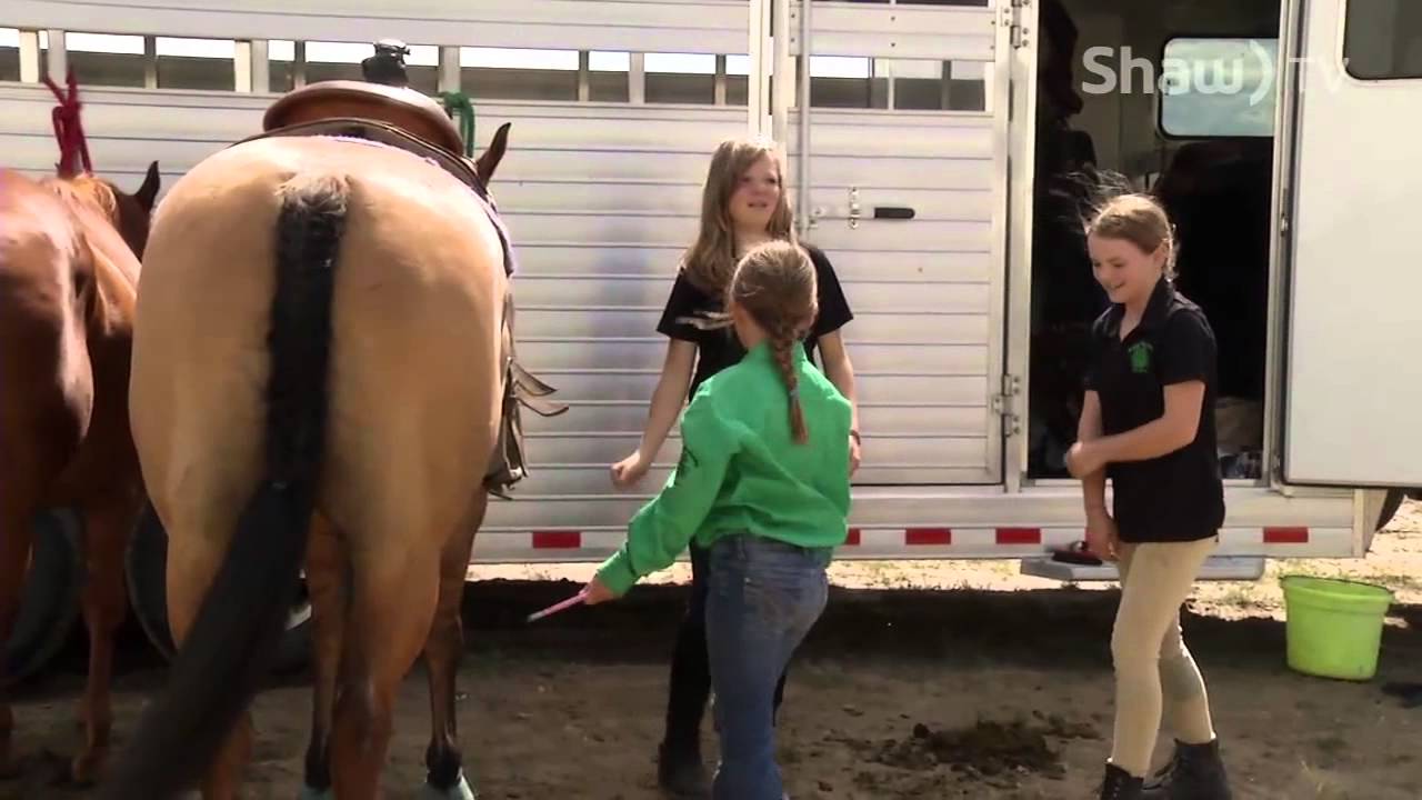 4H Horse Clinic