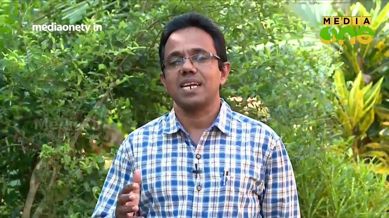 പോളി ഹൗസ് എങ്ങനെ നിര്‍മിക്കാം | Polyhouse Farming |  kayyoppu