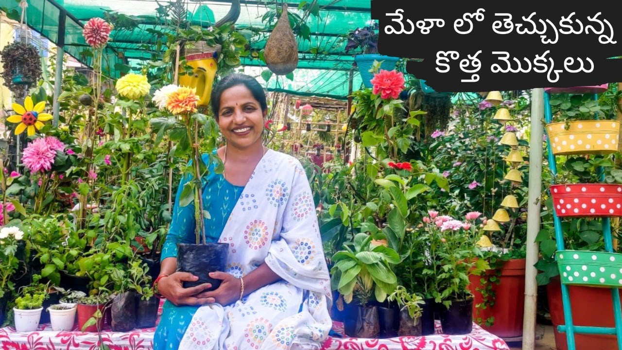 మేళా నుండి తెచ్చిన ఔషధ,పూల మొక్కలు 🌻New Medicinal & Flower Plants🌼 Nursery Mela 🌺 🌳🌲🌾Saileela Vlogs