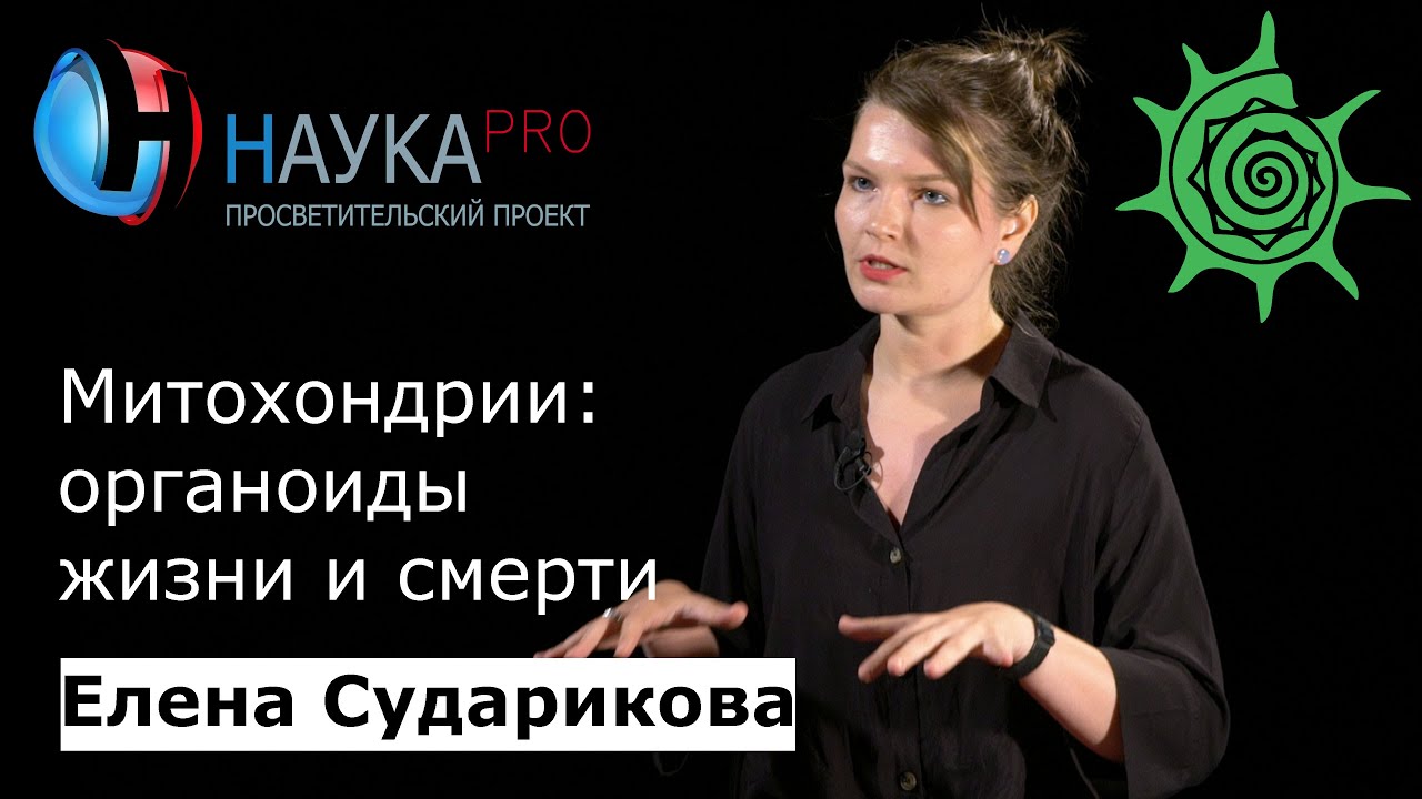 Митохондрии: органоиды жизни и смерти | Лекции по биологии – антрополог Елена Сударикова | Научпоп