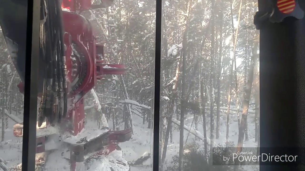 Sick Logger Cutting Sick Trees With Some Sickly Humor