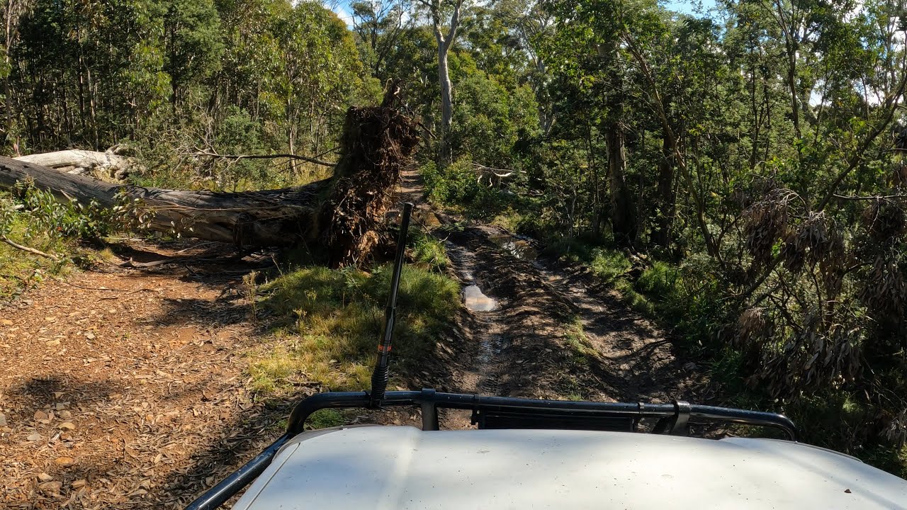 4K Virtual Drive - Castle Hill Track, Junction Spur Track, Scrubby Creek Track (Until stuck) [Dargo]
