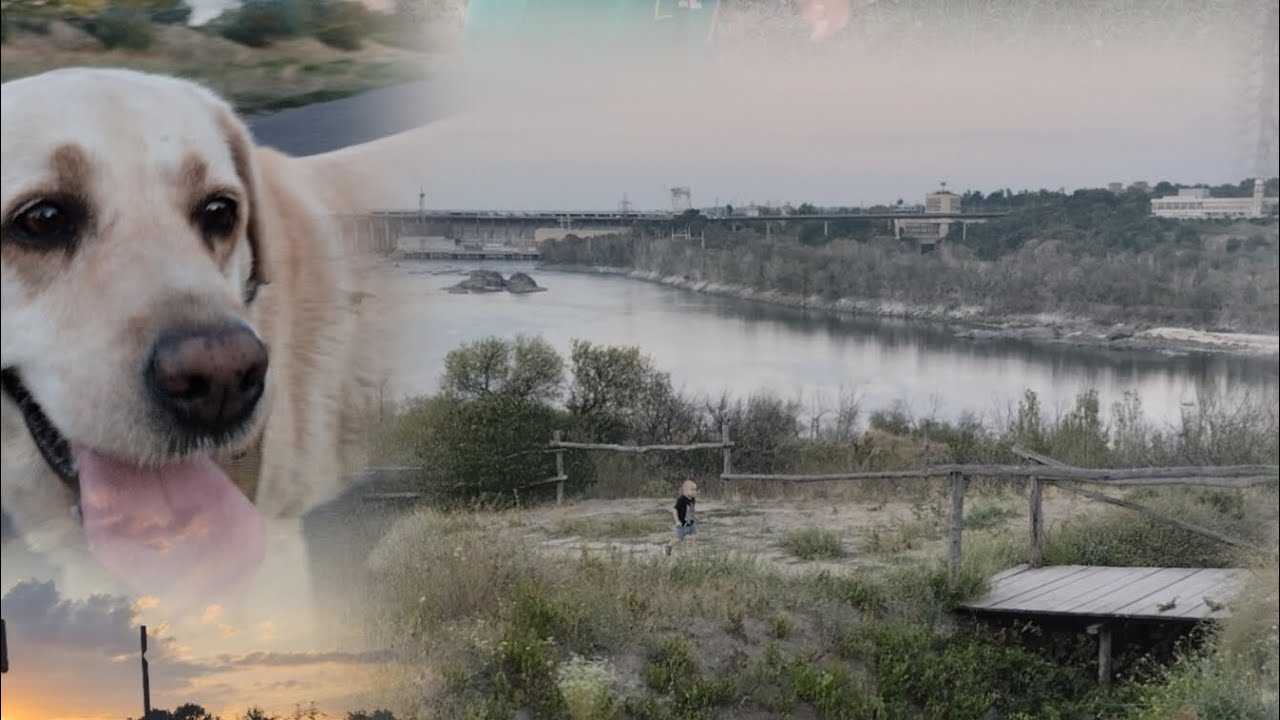 5.03.2026 ЗАПОРІЖЖЯ 🛑  💥 Чому вони це роблять❓