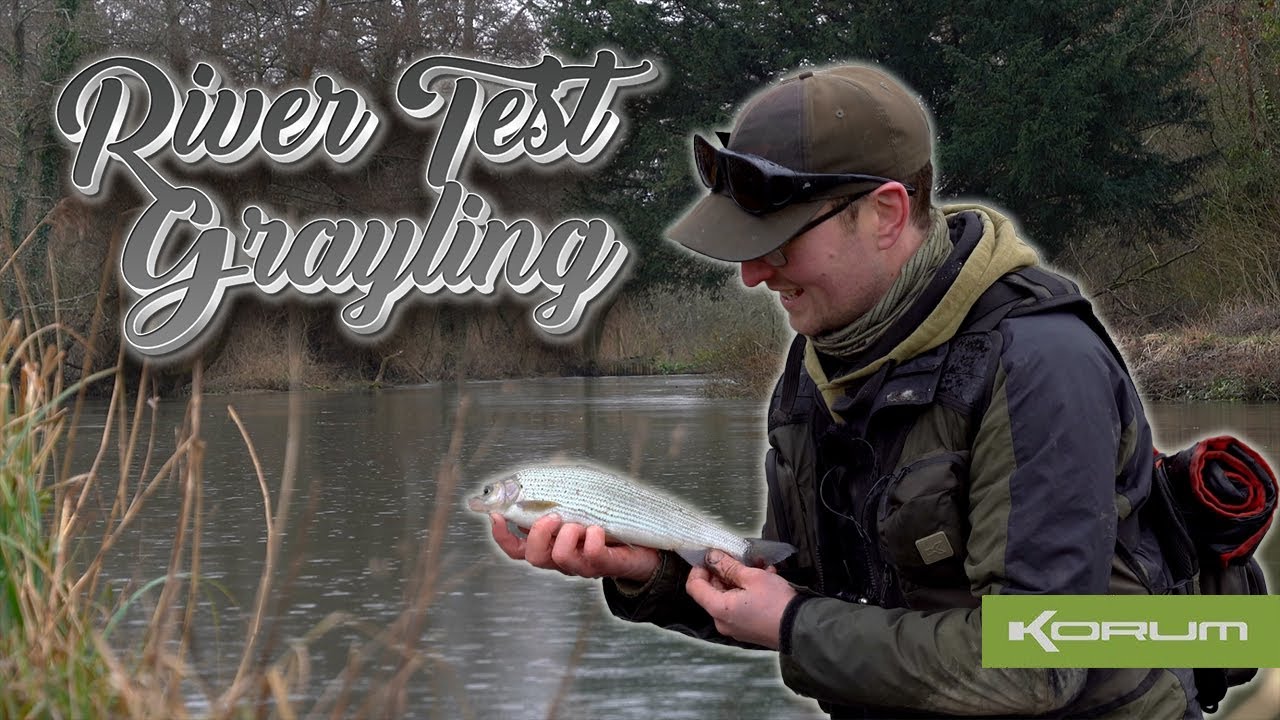 River Test - Grayling