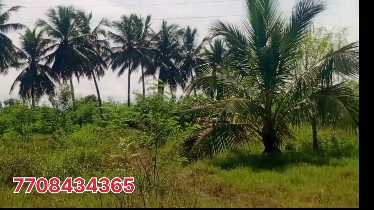 மொத்தம் 25 ஏக்கர் ஒன்பது ஏக்கர் நஞ்சை நிலம் மொத்தம்  ரெண்டு  சர்வீஸ் ஒரு சென்ட் விலை 20,000