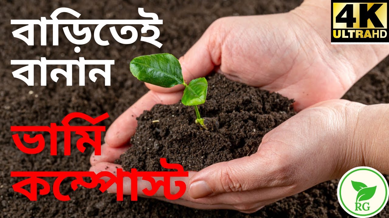 বাগান ও রান্নাঘরের বর্জ্য থেকে তৈরি করুন ভার্মি কম্পোস্ট | Make Vermicompost at Home |RAJ Gardens|4K